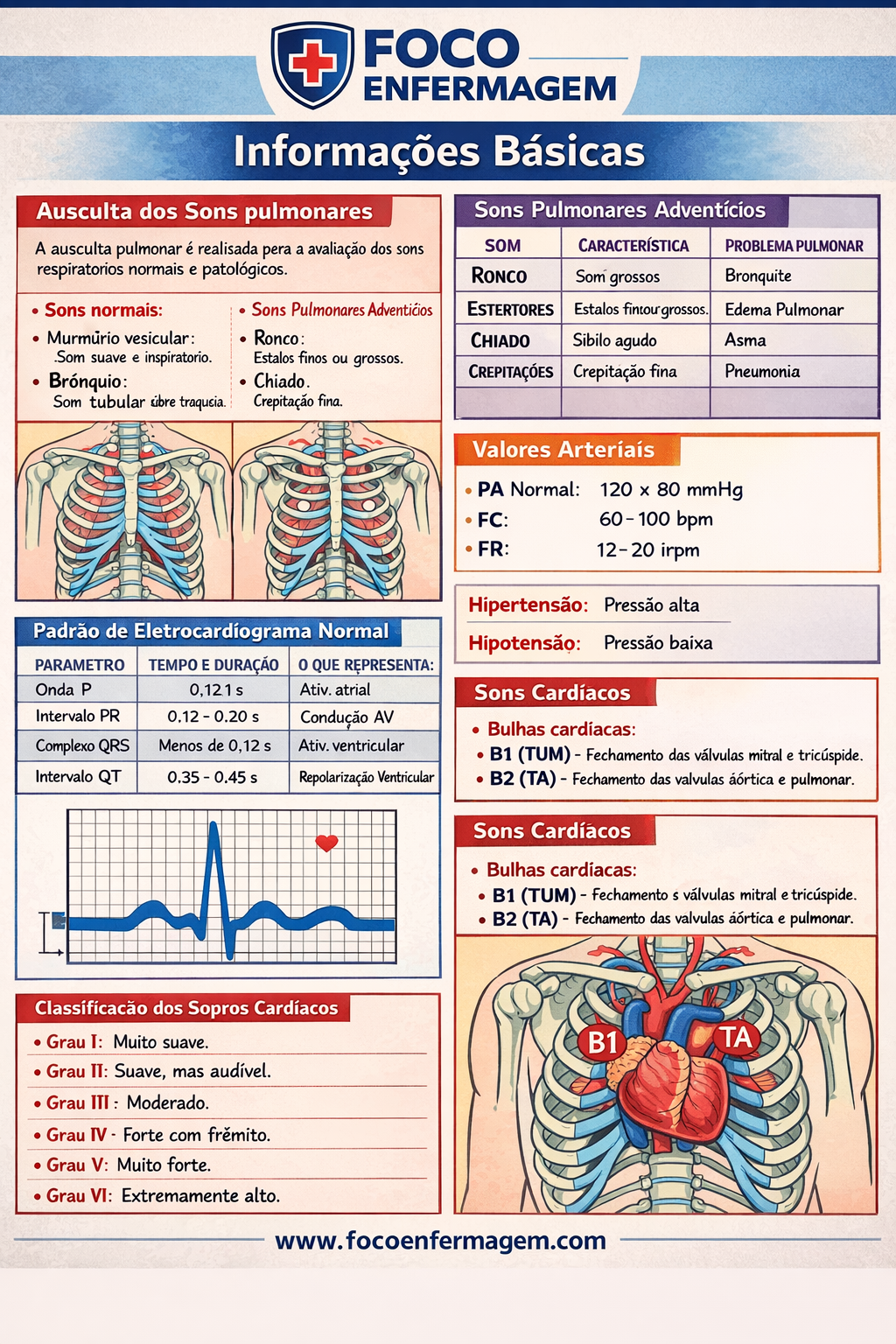 Informações Básicas